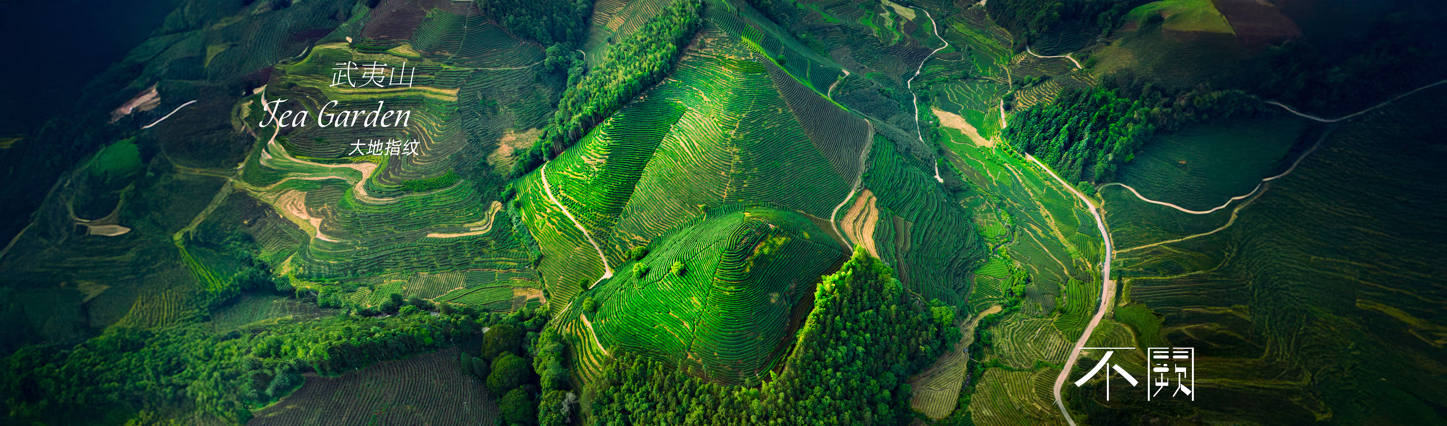 DJI_0243 1351398 a.avif